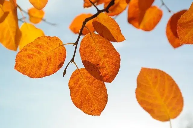 0-title-image