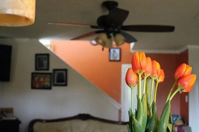 0-title-image